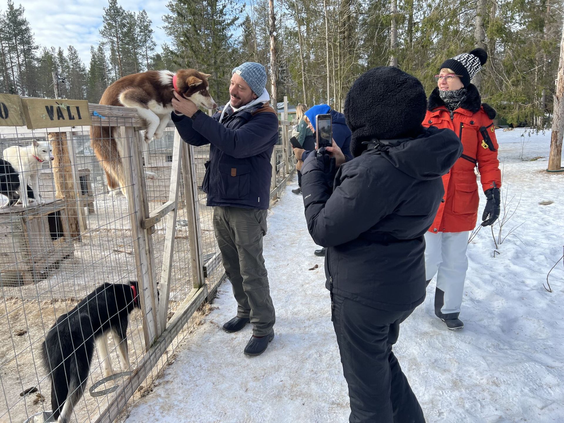 Ihmisiä kuvaamassa kännyköillä poroja.