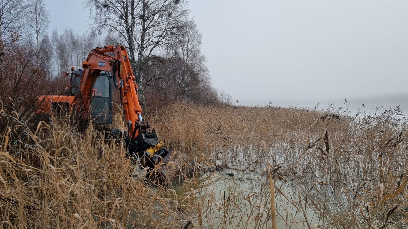 Työkone raivaa rantaa loppusyksyllä, rannassa on ruskeaa ruovikkoa.